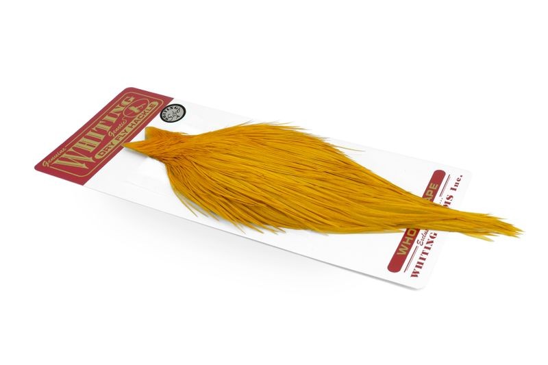 Whiting Farms Rooster Silver Cape - Imagen 37 de 52