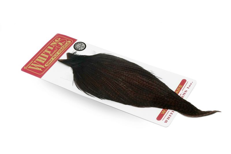 Whiting Farms Rooster Silver Cape - Imagen 39 de 52