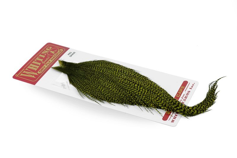 Whiting Farms Rooster Silver Cape - Imagen 41 de 52
