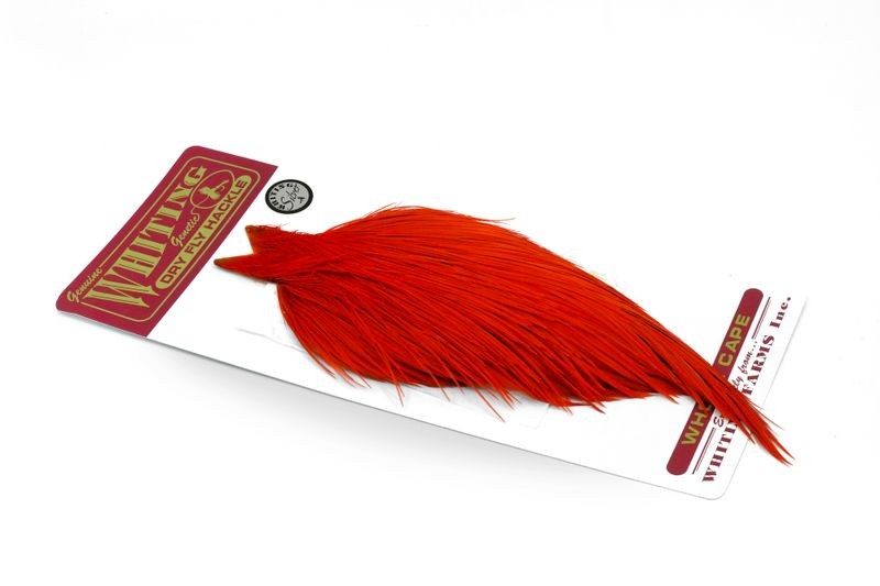 Whiting Farms Rooster Silver Cape - Imagen 44 de 52
