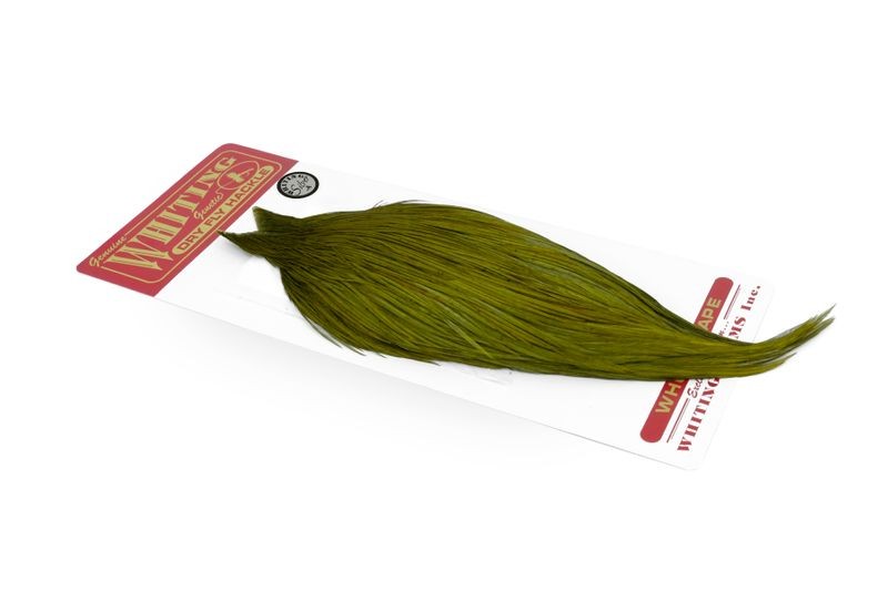 Whiting Farms Rooster Silver Cape - Imagen 49 de 52