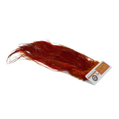 Grizzly dyed Orange
