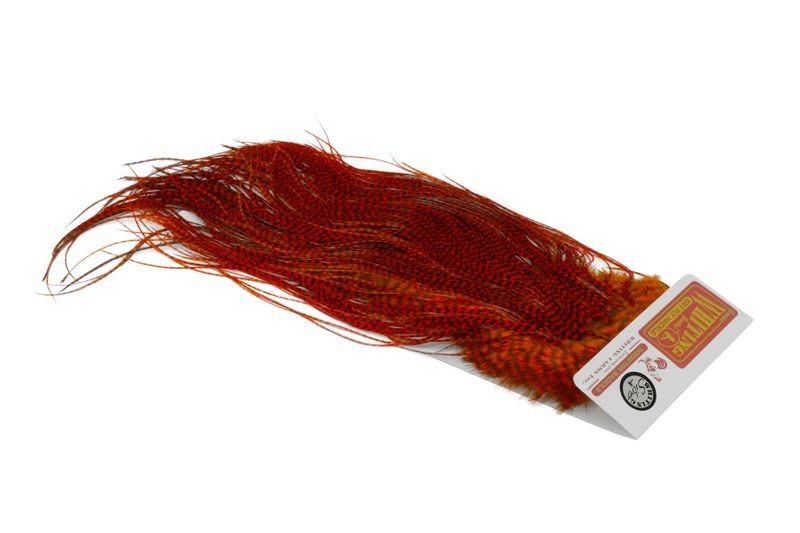 Whiting Farms Rooster Silver Saddle - Imagen 53 de 57