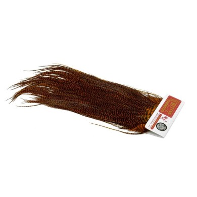 Grizzly dyed Burnt Orange