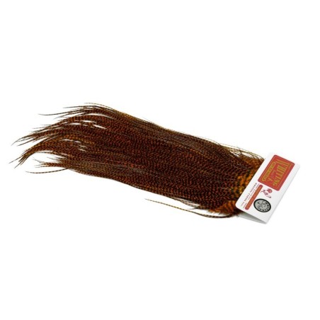 Grizzly dyed Burnt Orange