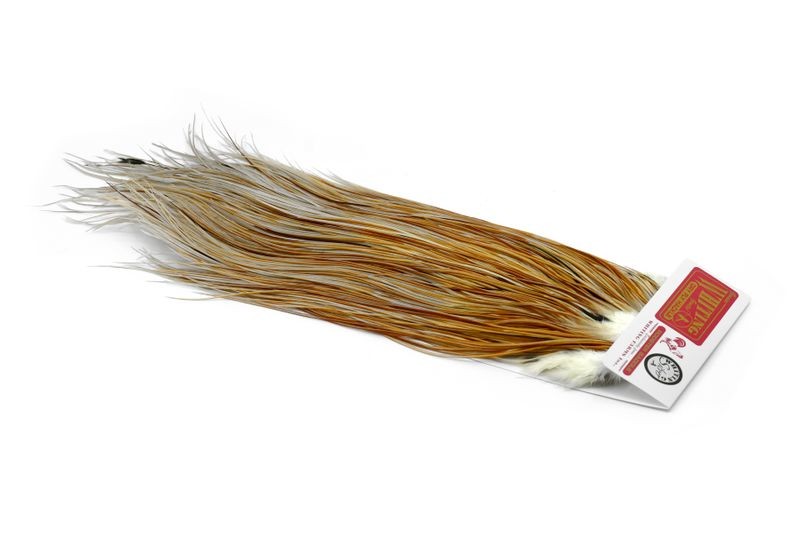 Whiting Farms Rooster Silver Saddle - Imagen 56 de 57
