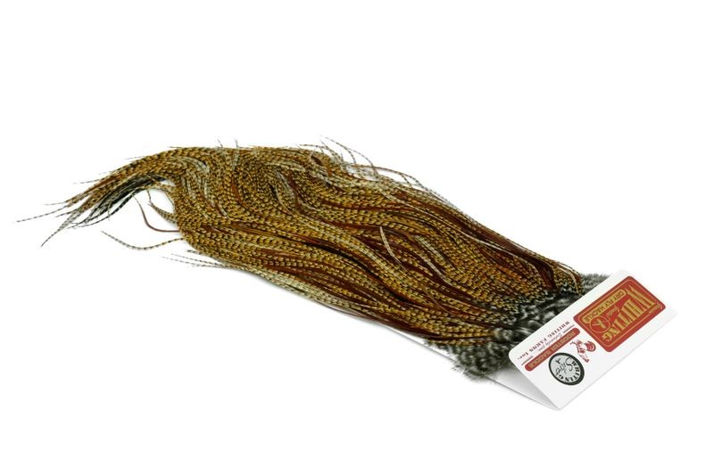 Whiting Farms Rooster Silver Saddle - Imagen 57 de 57