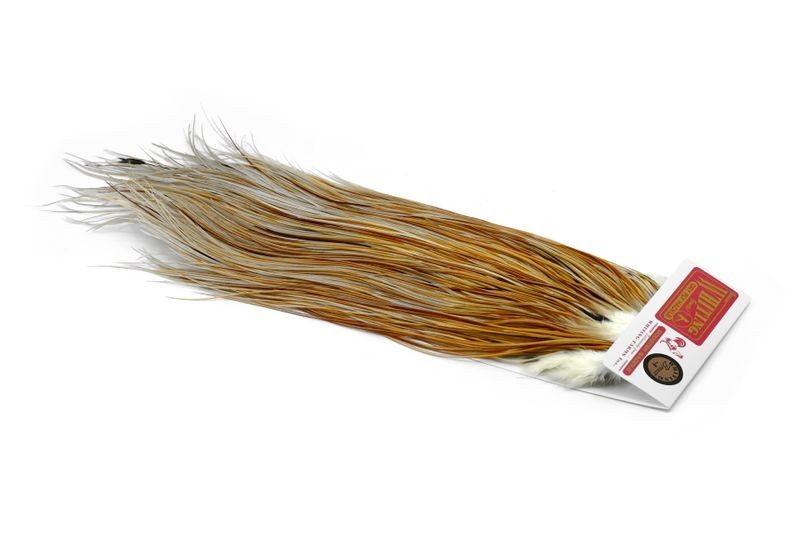 Whiting Farms Rooster Bronze Saddle - Imagen 44 de 52