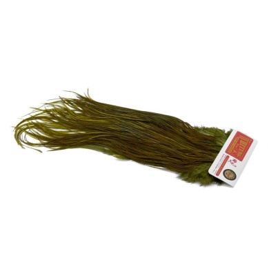 White dyed Dark Olive