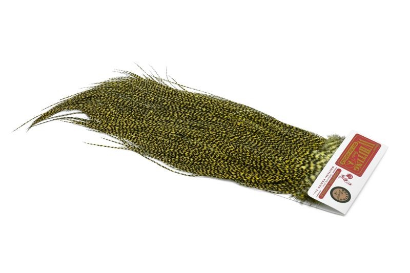 Whiting Farms Rooster Bronze Saddle - Imagen 47 de 52