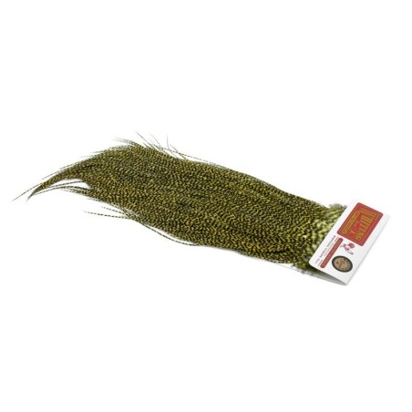 Grizzly dyed Pale Yellow