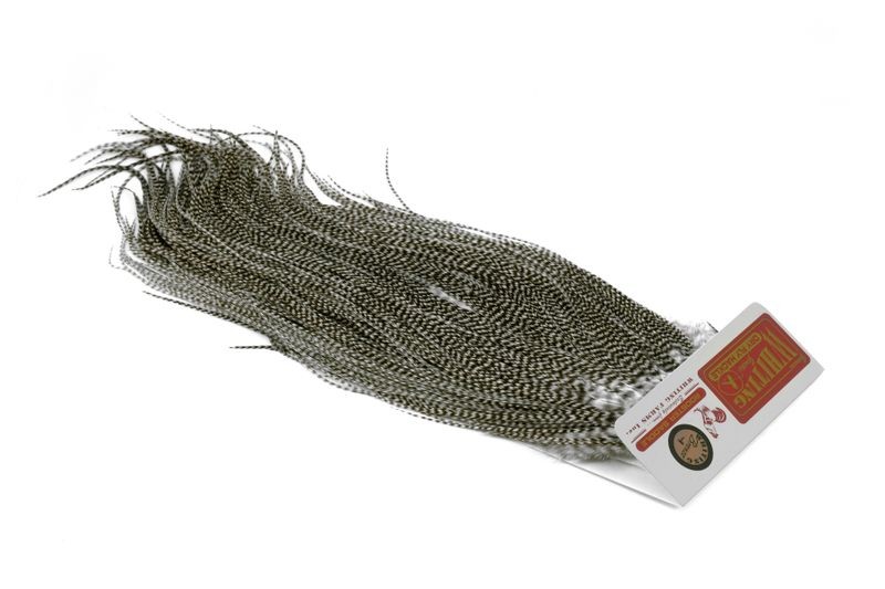 Whiting Farms Rooster Bronze Saddle - Imagen 50 de 52