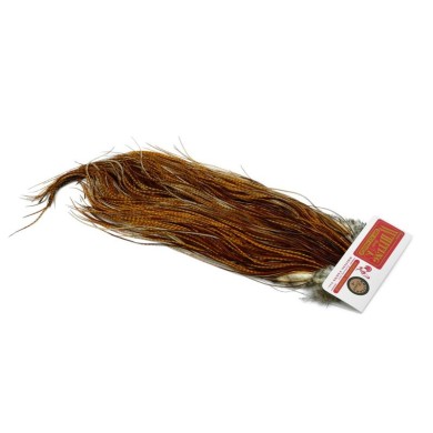 Barred Dark Ginger