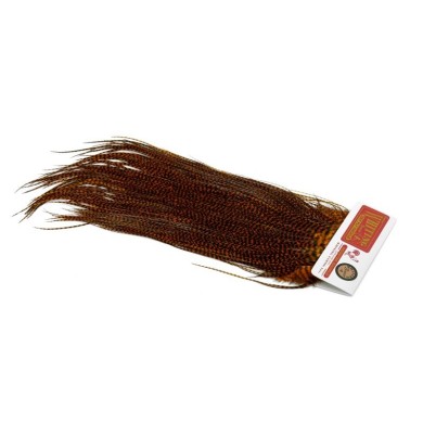 Grizzly dyed Burnt Orange