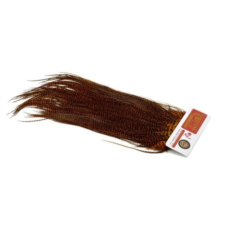 Grizzly dyed Burnt Orange