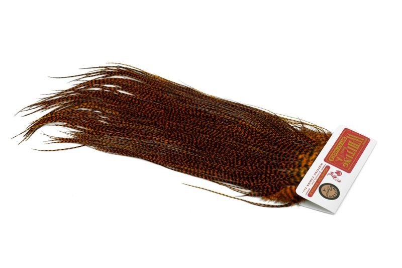 Whiting Farms Rooster Bronze Saddle - Imagen 52 de 52