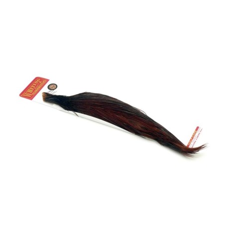 White dyed Coachman Brown