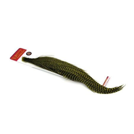Grizzly dyed Olive