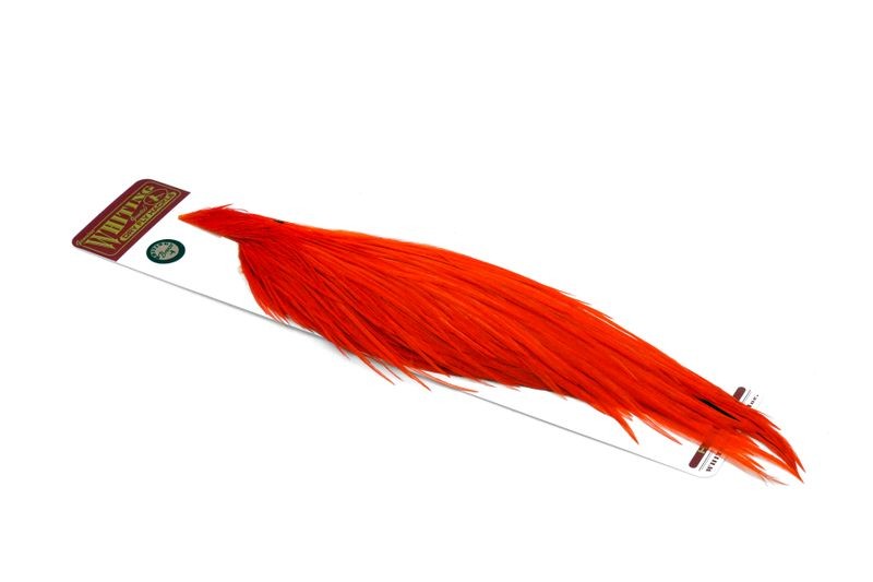 Whiting Farms Rooster Bronze 1/2 Cape - Imagen 29 de 30