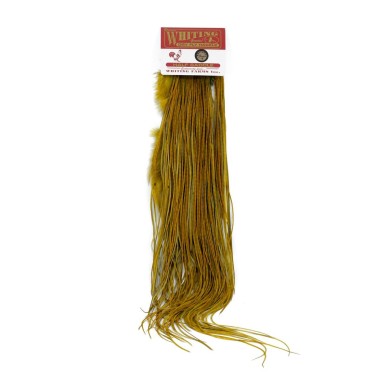 White dyed Golden Olive