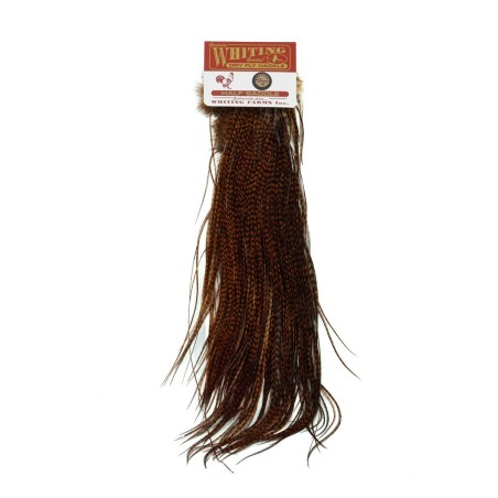 Grizzly dyed Brown