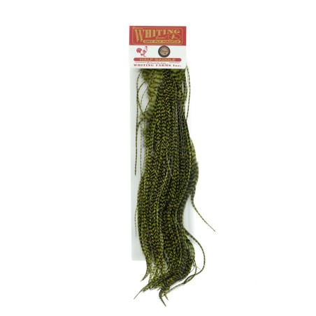 Grizzly dyed Olive