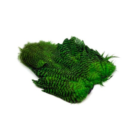 Grizzly teñido de verde Highlander
