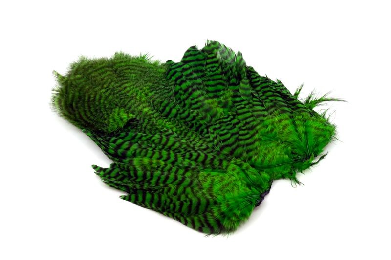 Gallo de Whiting Farms Soft Hackle Chickabou - Imagen 47 de 55