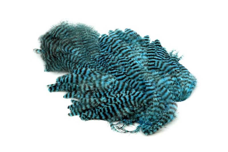 Gallo de Whiting Farms Soft Hackle Chickabou - Imagen 48 de 55