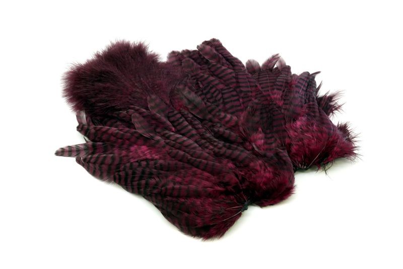 Gallo de Whiting Farms Soft Hackle Chickabou - Imagen 50 de 55