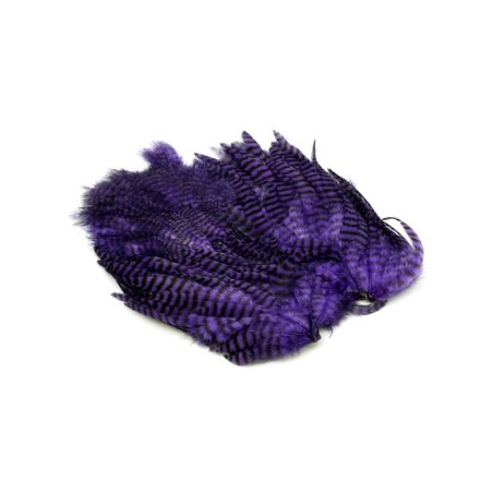Grizzly teñido de morado
