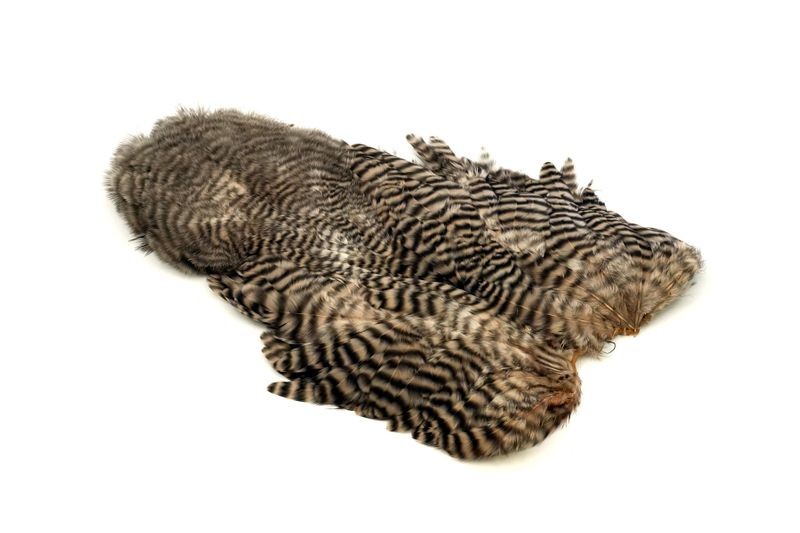 Gallo de Whiting Farms Soft Hackle Chickabou - Imagen 52 de 55