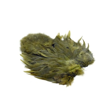 Blanco teñido de oliva oscuro