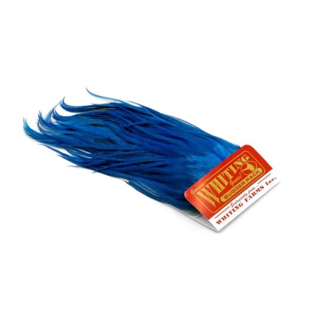 White dyed Kingfisher Blue