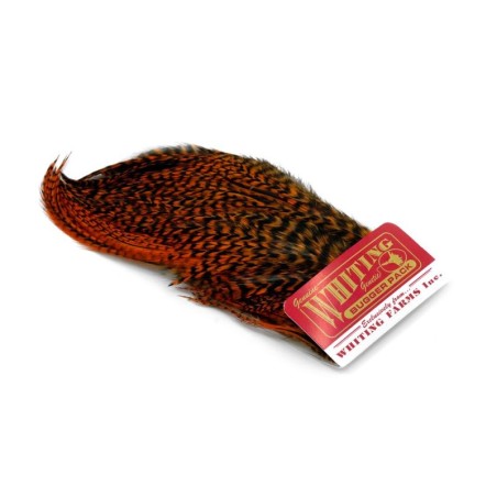 Grizzly dyed Burnt Orange