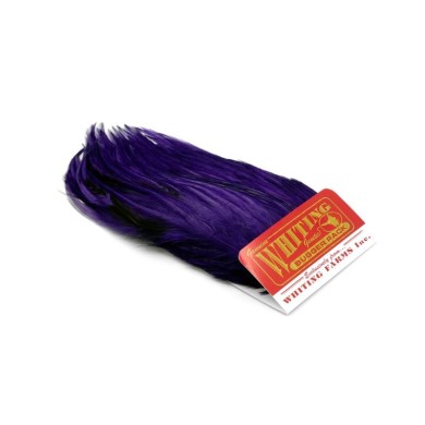 White dyed Purple