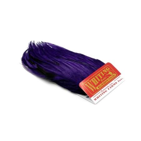 White dyed Purple