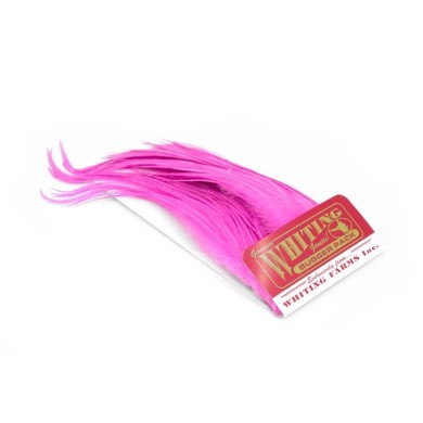 White dyed Pink