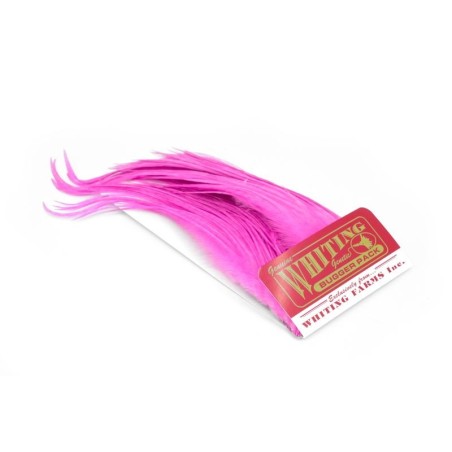 White dyed Pink