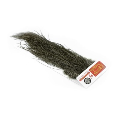 Grizzly dyed Dun