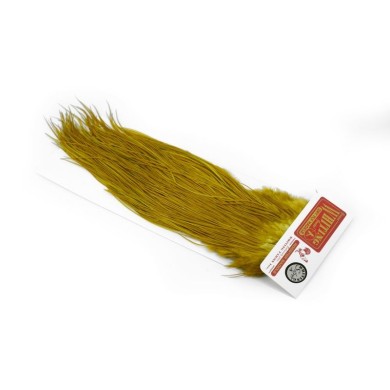 White dyed Golden Olive