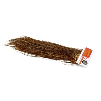 Grizzly dyed Golden Brown