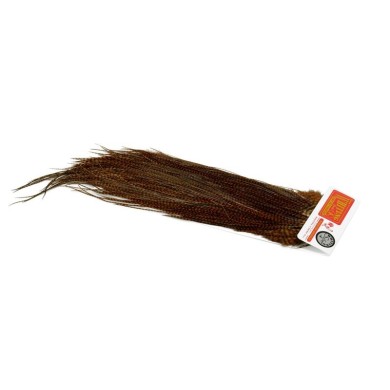 Grizzly dyed Brown