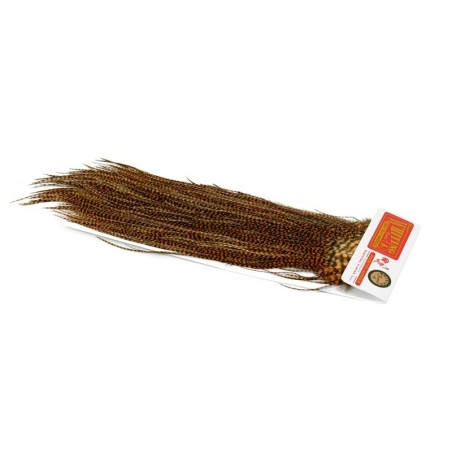 Grizzly dyed Golden Brown