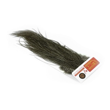 Grizzly dyed Dun