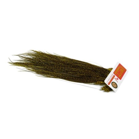 Grizzly dyed Golden Olive