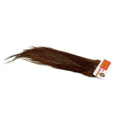 Grizzly dyed Brown
