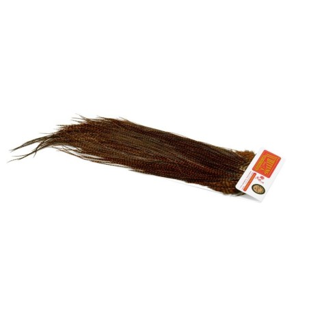 Grizzly dyed Brown