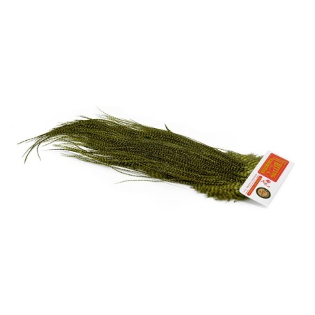 Grizzly dyed Olive