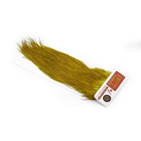 White dyed Golden Olive